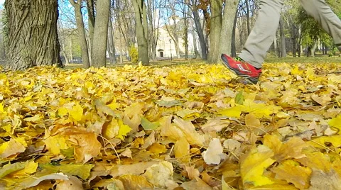 Man running and jogging through fallen yellow leaves on autumn day slow motion Stock Footage 56776763