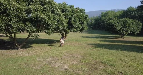 A man is running and taking video in park Chiang Mai Thailand Stock Footage 100743912