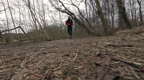 Man running in a autumn forest Stock Footage 36070733