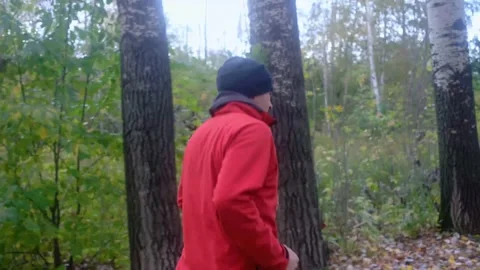 Man running in autumn forest. Stock Footage 146502504
