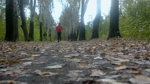 Man running in autumn forest. Stock Footage 148078257