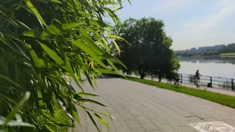 A man running away from the camera against the background of a green tree branch Stock Footage 133652970