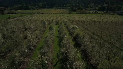 Man running away from Drone Stock Footage 166849400