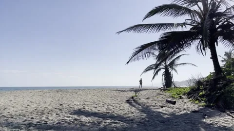 Man running at beach 库存影片 254640489