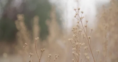 Man running from behind through path 스톡 동영상 73490640