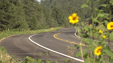 Man Running From Camera Along a Sunny Northern Arizona Highway Stock Footage 88893351
