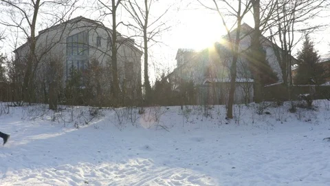 Man running with Christmas Tree Stock Footage 71753954