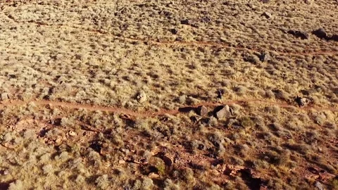 Man Running in the Desert Video stock 145947213