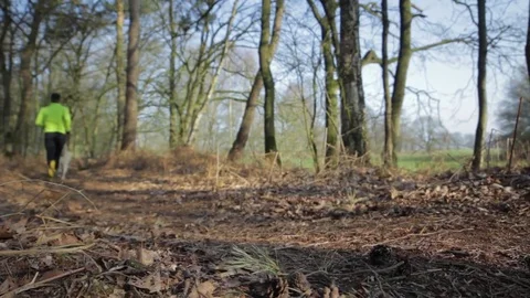 Man Running With Dog In Forest Vídeo Stock 81956437