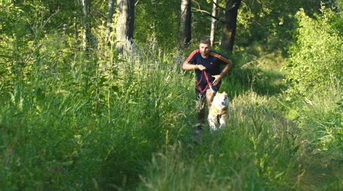 Man running with a dog Husky Stock Footage 68009656