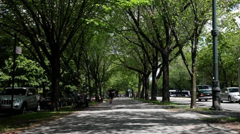 Man Running down Eastern Parkway Brooklyn Vídeo Stock 38675305