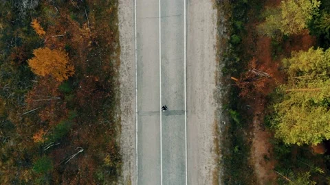Man running down the road in the forest, top down view Stock Footage 169136784