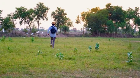 Man Running At Evening Field flying birds 4k Slow Motion Video. Stock Footage 238425738