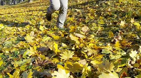 Man running fallen yellow leaves on autumn day slow motion Stock Footage 56776590