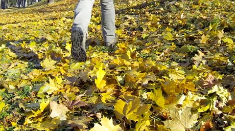 Man running fallen yellow leaves on autumn day slow motion Stock Footage 61883191