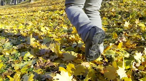 Man running fallen yellow leaves on autumn day slow motion Stock Footage 61888860
