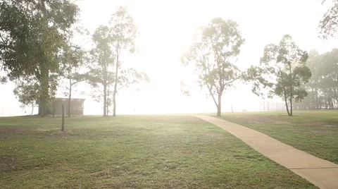 Man running in fog Stock Footage 52358346