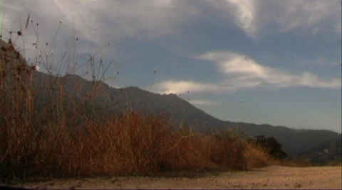 Man running Stock Footage 43693277