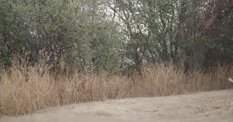 Man running Video stock 73490892