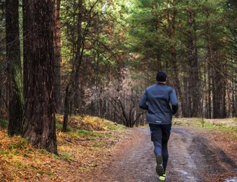 The man running in the forest. The Athletic man running on a forest trail. Stock-Fotos