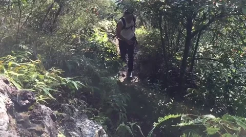 Man running in the forest Stock Footage 56894955