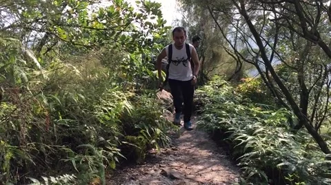 A man running in the forest Stock Footage 56895113