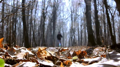 Man running in forest Stock Footage 78225829