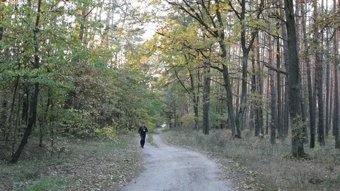 Man is running in the forest  스톡 동영상 96443209