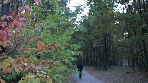 Man is running in the forest Stock Footage 96445049