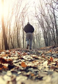 Man running in forest Stock Photos