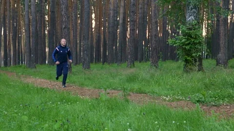 Man running in forest woods Stock Footage 94529738
