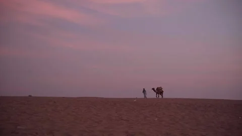 A man running with his camel on a sand dunes in jaisalmer rajasthan. Stock Footage 282791199