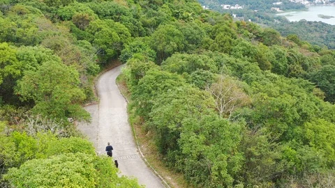 Man running with his dogs on path, Sai Kung countryside park, Spring, Aerial Stock-Footage 124517374