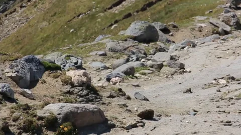 Man running on the mountain Stock Footage 90814098