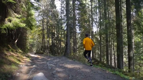 Man running in mountain forest. Trail running Vidéo 82702964