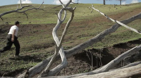 Man running the mountains Stock Footage 62544180