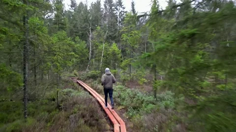 A man running in nature Stock Footage 236680478
