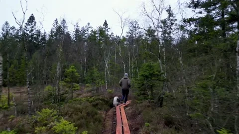 A man running in nature Stockbeeldmateriaal 236680593