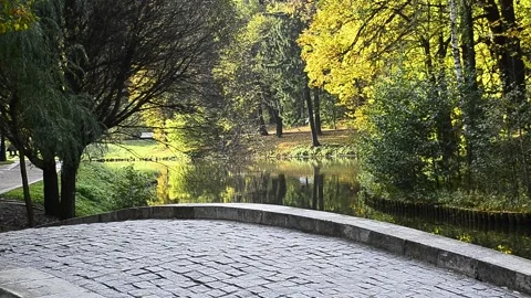 A man running in the park in autumn.  Stock Footage 140684673