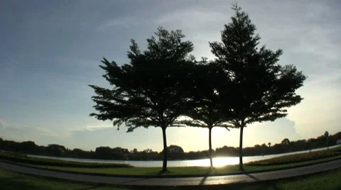 Man Running In The Park At Dusk 스톡 동영상 8778283