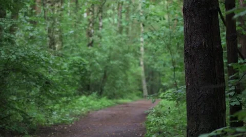 Man running in the park. Stock Footage 66009022