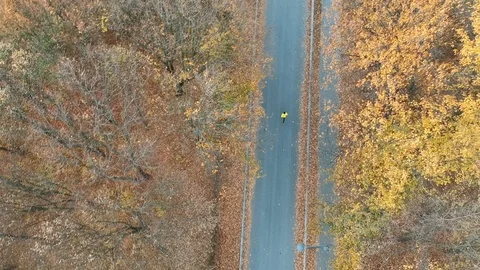 Man running in the park Stock Footage 98579520