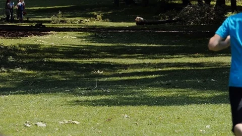 Man running at the park Stock-Footage 114172494