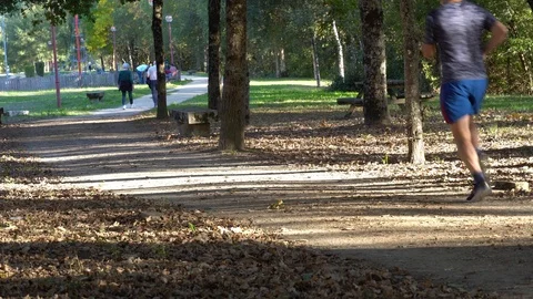 Man running in park Stock Footage 117921936