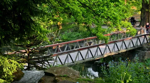 Man running in a park at the sunset 스톡 동영상 50390629