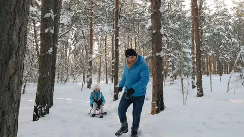 Man running in park at winter day and pulling his girlfriend on sledge Stock Footage 86561019
