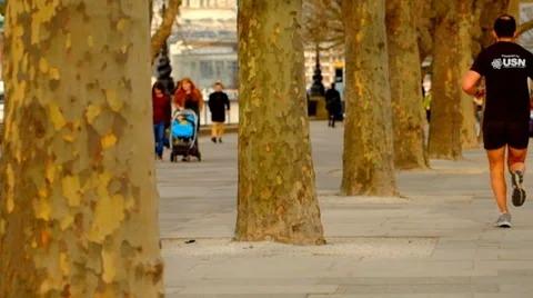 Man running past a row of trees Stock Footage 36610129