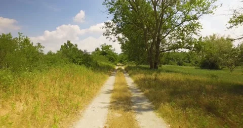 Man running in an off road pathway. High tree on path side. Car moving in off 動画素材 163511597