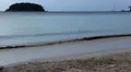 Man running, Sandy Beach, Fitness, Kata Beach in Phuket Island, Thailand HD Footage