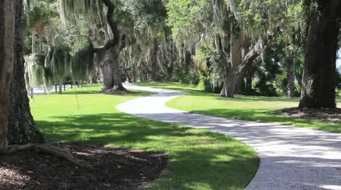 Man running on side walk Stock Footage 11427333